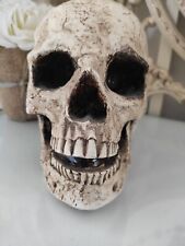 Human skull detailed for sale  WOODBRIDGE