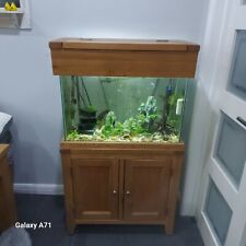 Aqua oak fish for sale  DUDLEY