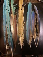 Blue gold macaw for sale  Lakeport