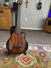 Emerald acoustic guitar for sale  GRIMSBY
