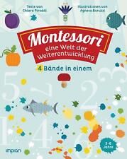 Montessori weiterentwicklung 4 gebraucht kaufen  Einbeck