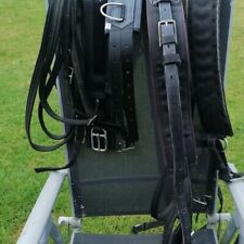 Pony driving harness for sale  WATERLOOVILLE