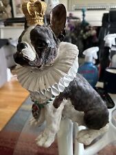 Boston terrier dog for sale  GLASGOW