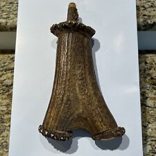 German stag horn for sale  Dallas