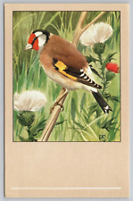 European goldfinch thistle for sale  Spokane
