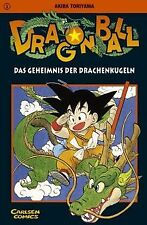 Dragon ball geheimnis gebraucht kaufen  Berlin