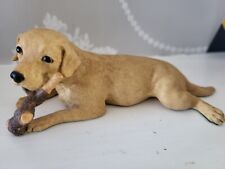 pups labrador for sale  LIVERPOOL
