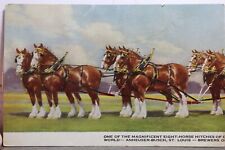 Anheuser busch clydesdale for sale  Wilmington