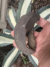 Fossilized whale ear for sale  Virginia Beach