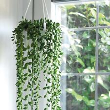 T&M String of Pearls Hanging Indoor Senecio 14cm Plants in Zinc Pot for sale  IPSWICH
