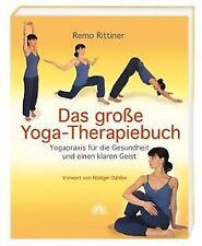 Große yoga therapiebuch gebraucht kaufen  Berlin