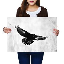 Flying black raven for sale  SELBY
