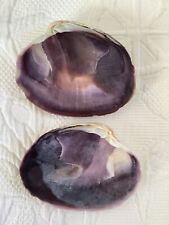 Lot of 2 Washed Atlantic Ocean Deep Purple Wampum Clam Shells for sale  Shipping to South Africa