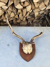 Pair vintage fallow for sale  EMSWORTH