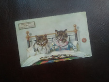 Vintage postcard. cats for sale  HUNGERFORD