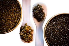 Caviar baeri classic d'occasion  Paris XX