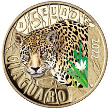 Euro italia giaguaro usato  Villachiara