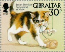 Gibraltar 1997 british for sale  Pittsburgh