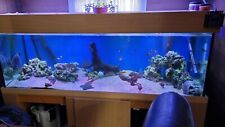 Fish tank 6x2x2 for sale  HARLOW