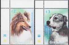 Grenada 2000 cani usato  Italia