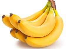 Banane retour d'occasion  Alleins