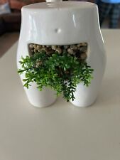 ceramic succulent planter pot for sale  Shipping to South Africa