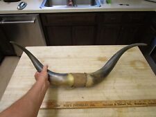 Vintage 26”  Steer Horns Bull Wall Mount Western Decor-cow, used for sale  Fort Wayne