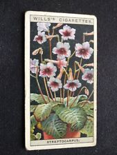 1925 WD & HO Wills Flower Culture In Pots Card # 47 Streptocarpus (VG/EX) for sale  Shipping to South Africa