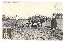 Cpa portugal agriculture d'occasion  Ménéac