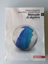 manuale algebra zanichelli usato  Italia