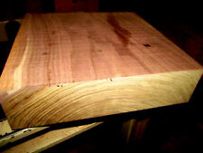 Beautiful thick elm for sale  Brazil