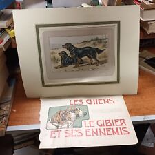 Chiens giber ses usato  Italia