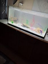 Axolotl 200l aquarium gebraucht kaufen  Übach-Palenberg