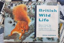 British wildlife brooke for sale  BERWICK-UPON-TWEED