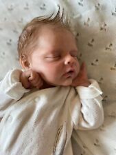 Reborn baby dolls for sale  Howell