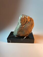 Stunning ammonite fossil gebraucht kaufen  Wuppertal