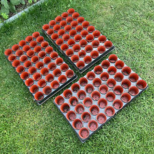 3 Large Trays For Pots Sowing Seeds Tray Growing Grow Trays Seed Starting Garden for sale  LEICESTER