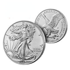 Moneda de plata de la Estatua de la Libertad de los Estados Unidos 2024 de 1 oz segunda mano  Embacar hacia Argentina