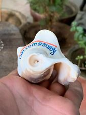 1970's Vintage God Worship Natural Conch Shell Nautical Sea Shell Collectible for sale  Shipping to South Africa