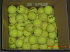 tennisballe gebraucht kaufen  Bergheim-Quadraht-Ichendorf