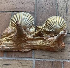 Cast bronze seashell for sale  Bradenton