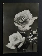 Cartolina fiori lucida usato  Sermide E Felonica