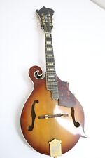 Alvarez 1970 mandolin for sale  Brooklyn