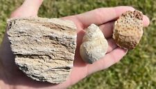 Texas fossil lot for sale  Coppell