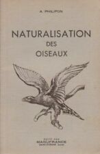 Naturalisation oiseaux philipo d'occasion  Chamboulive