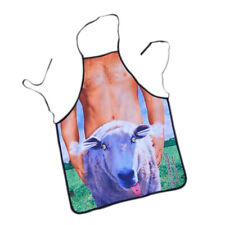 Novelty bbq apron for sale  Shipping to Ireland
