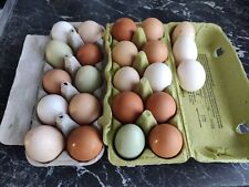 Frische eier grünland gebraucht kaufen  Mainz
