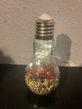 Succulent glass bulb d'occasion  Expédié en Belgium