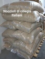 Noccioli ciliegia italiani usato  Grottaminarda