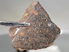 meteorite fragments for sale  Eureka